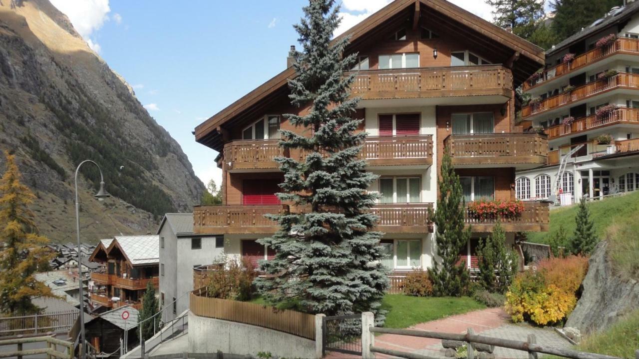 Appartamento Haus Colmar Zermatt Esterno foto